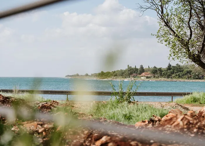 Apartment Nox-umag Istria -30m From The Sea Sveti Ivan (Istria)